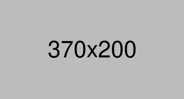 No Logo